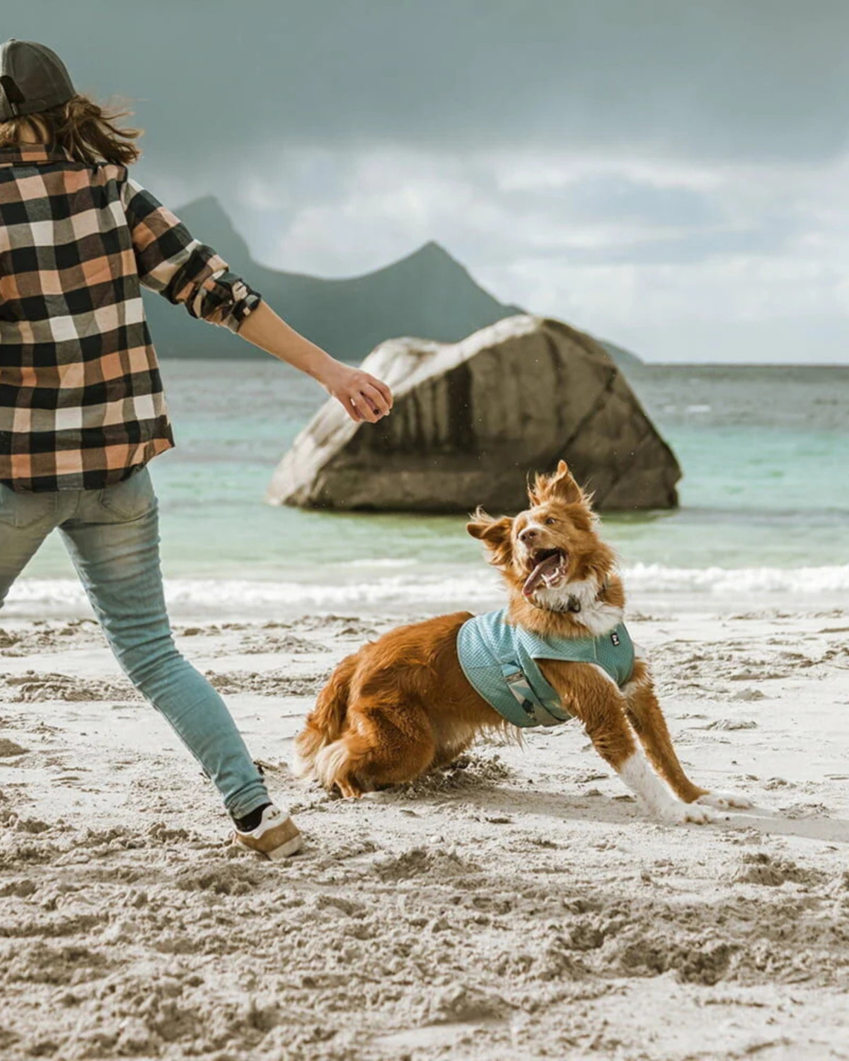 Buharlaşmalı Köpek Serinletici Yelek Hurtta Cooling Wrap