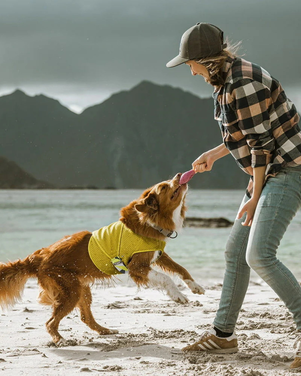 Buharlaşmalı Köpek Serinletici Yelek Hurtta Cooling Wrap