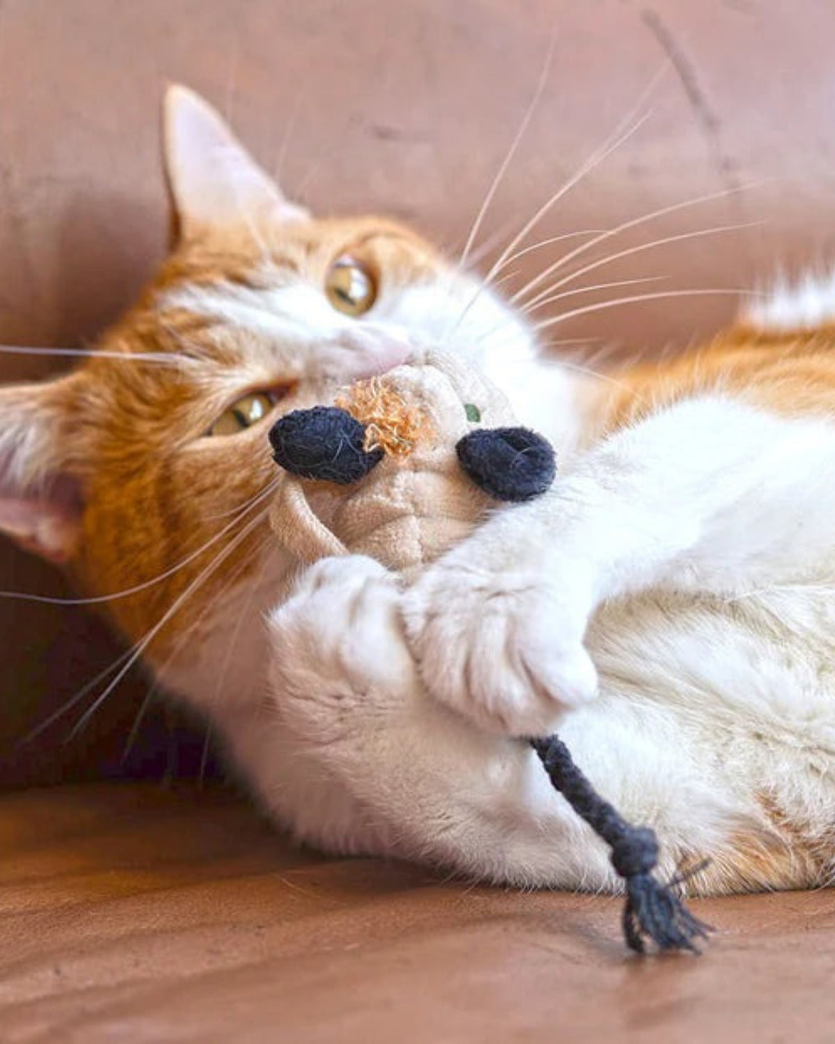 Cadılar Bayramı Temalı Organik Kedi Naneli Hışırtılı Fare Figürlü 2'li Kedi Oyuncağı Seti P.L.A.Y. Feline Frenzy Menacing Mice