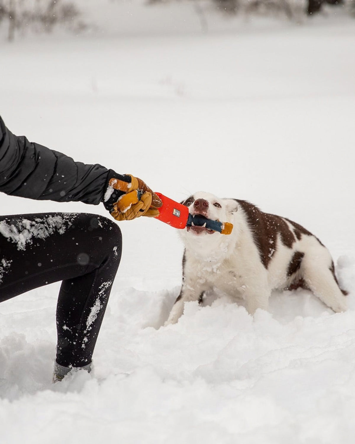 Çekiştirme Köpek Oyuncağı Ruffwear Pacific Loop