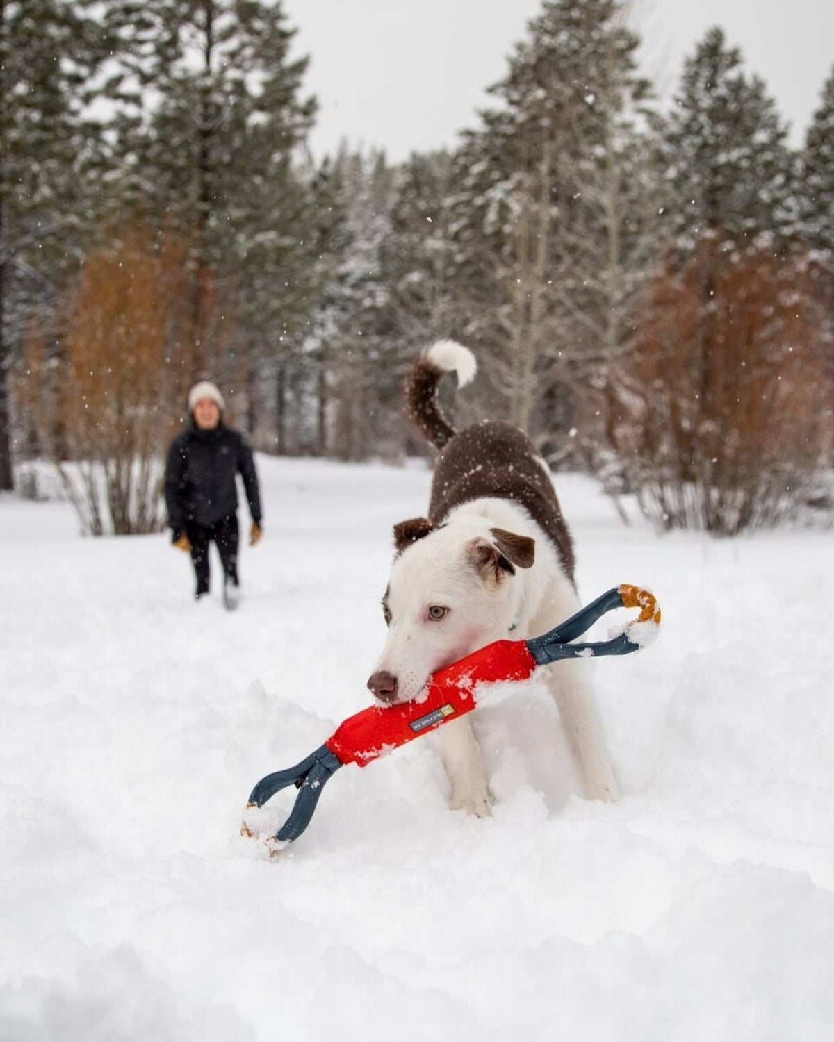 Çekiştirme Köpek Oyuncağı Ruffwear Pacific Loop
