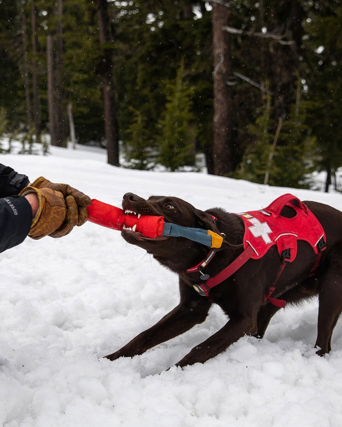 Çekiştirme Köpek Oyuncağı Ruffwear Pacific Loop