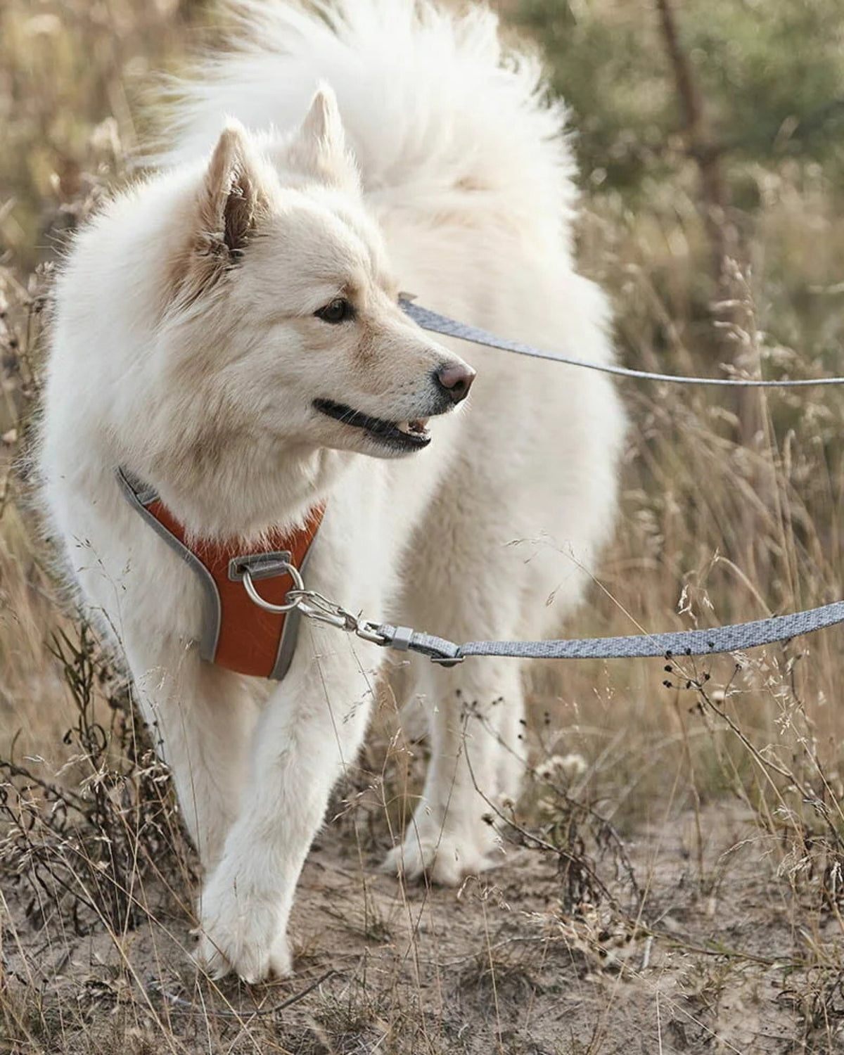 Çekiştirme Önleyici Köpek Göğüs Tasması Hurtta Venture No-Pull