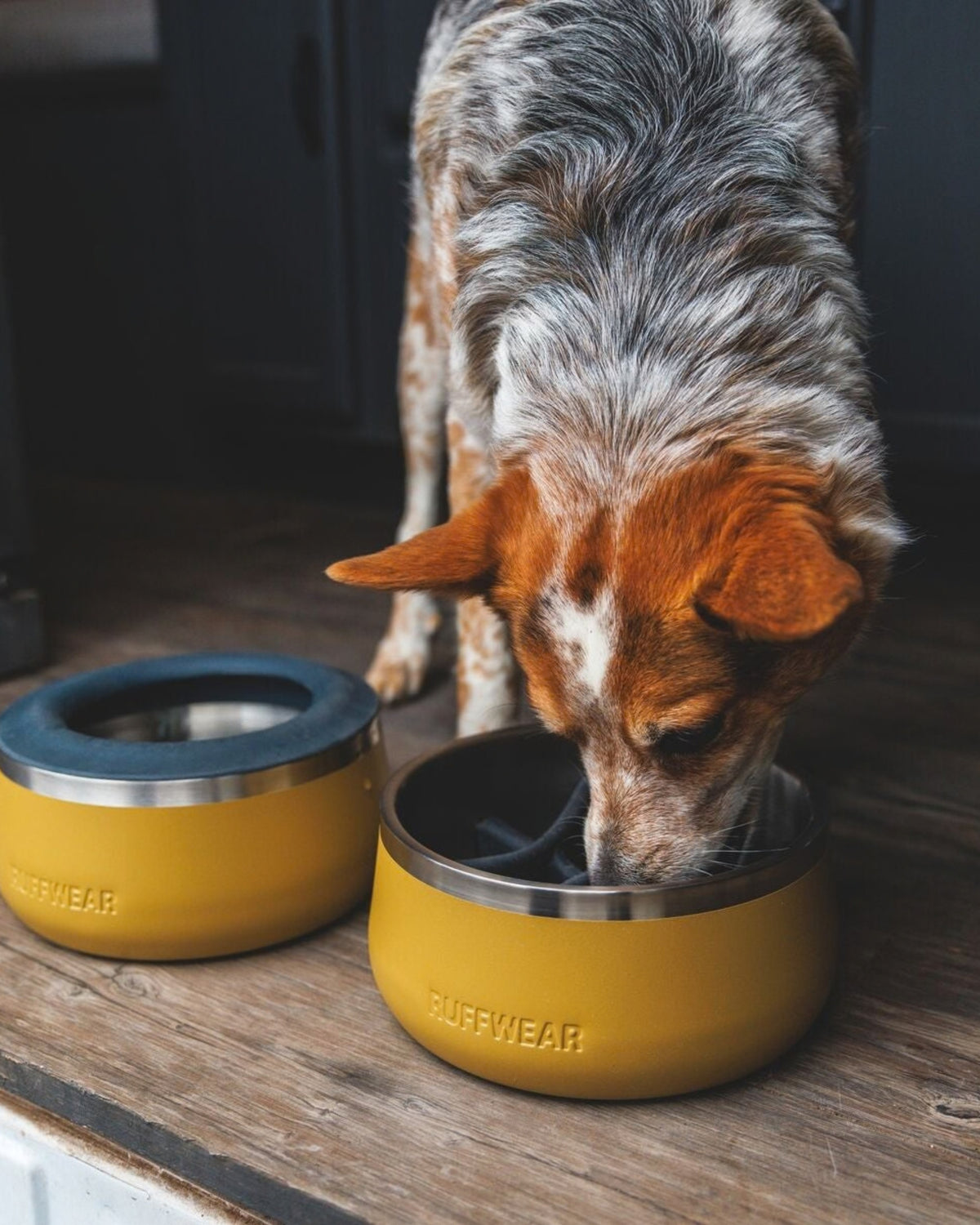 Çelik Mama Kabı Ruffwear Basecamp Bowl