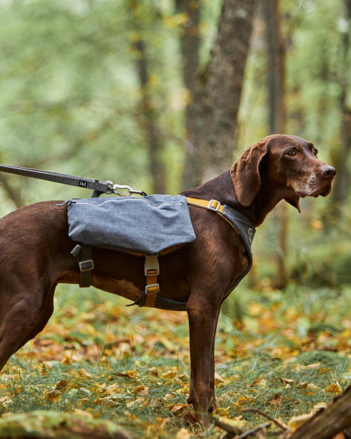 Çift Cepli Tutacaklı Reflektörlü Köpek Sırt Çantası Gri Hurtta Expedition Backpack ECO