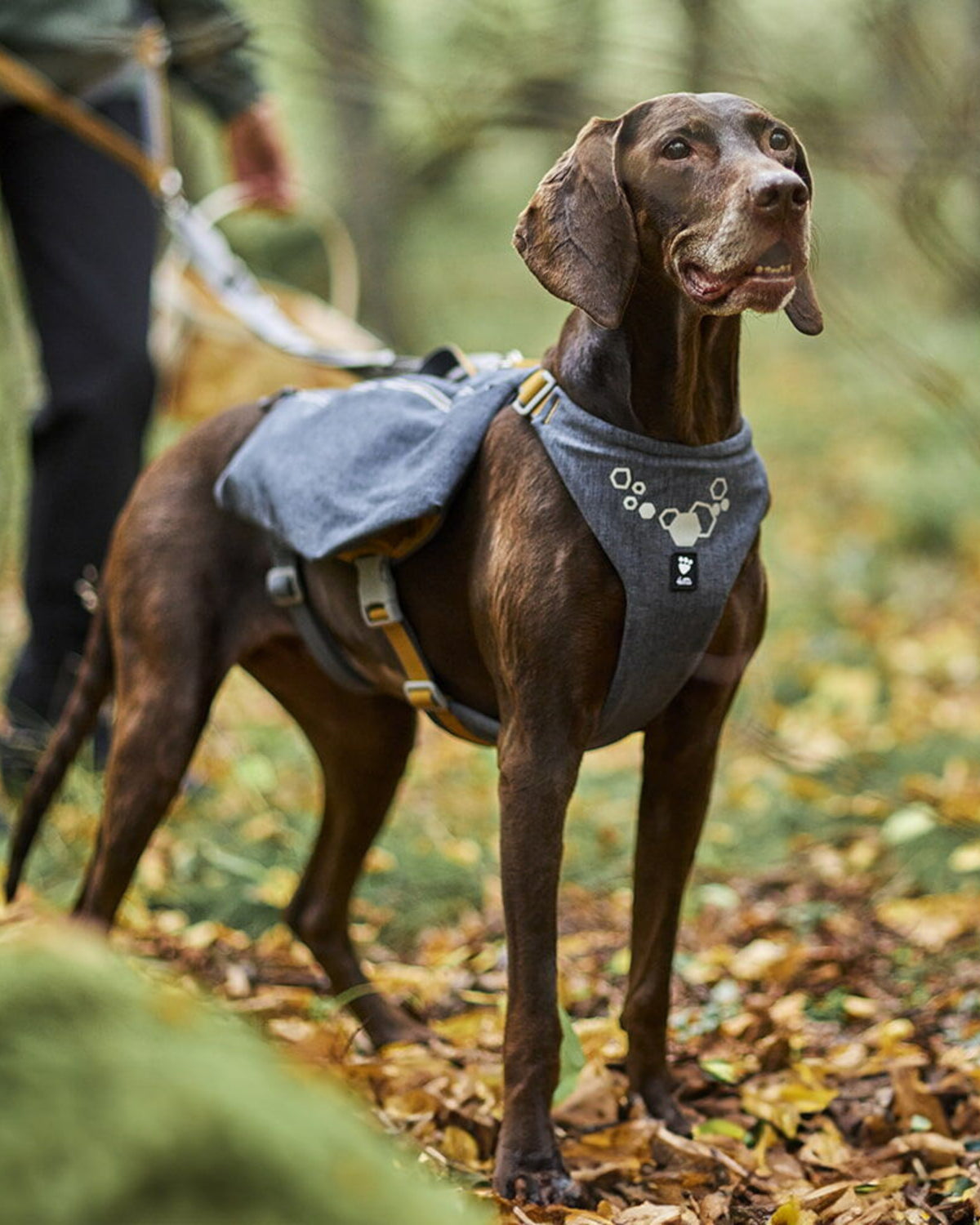 Çift Cepli Tutacaklı Reflektörlü Köpek Sırt Çantası Gri Hurtta Expedition Backpack ECO