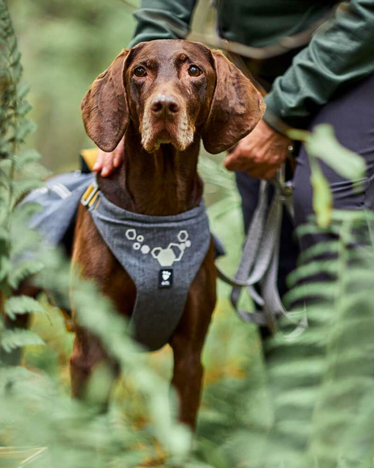 Çift Cepli Tutacaklı Reflektörlü Köpek Sırt Çantası Gri Hurtta Expedition Backpack ECO
