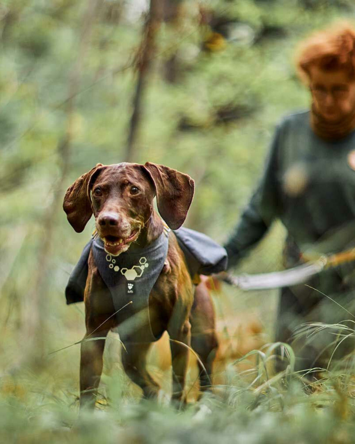 Çift Cepli Tutacaklı Reflektörlü Köpek Sırt Çantası Gri Hurtta Expedition Backpack ECO