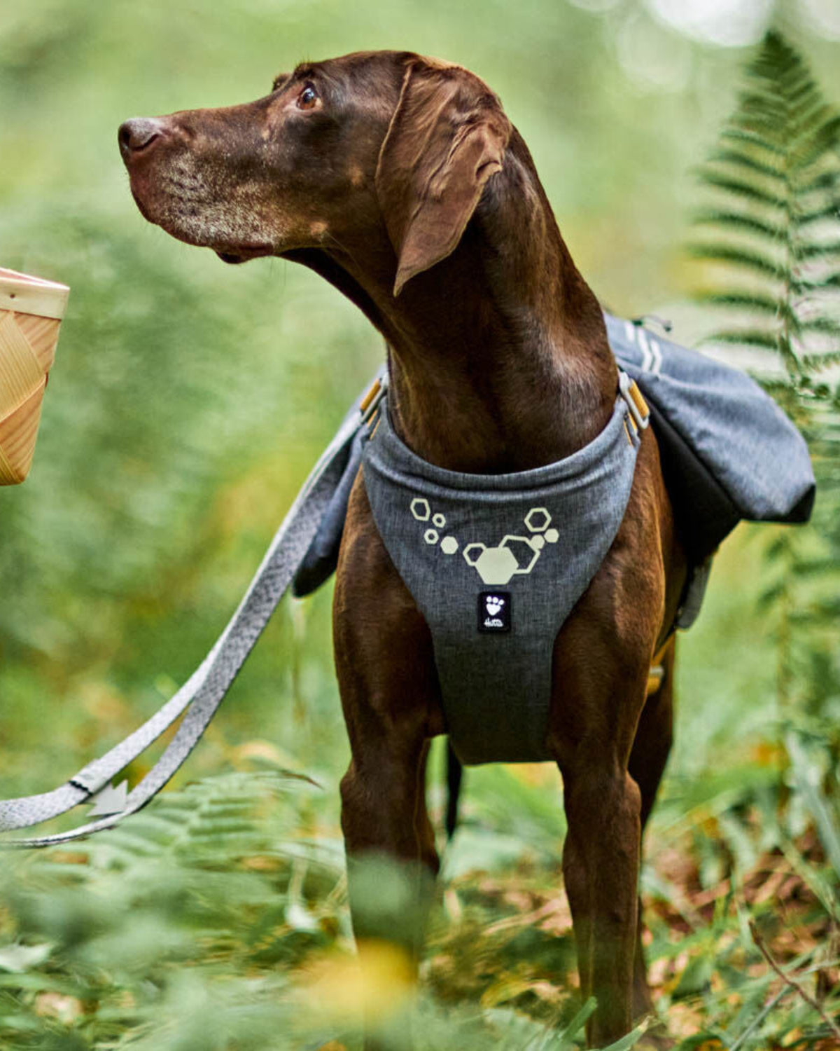 Çift Cepli Tutacaklı Reflektörlü Köpek Sırt Çantası Gri Hurtta Expedition Backpack ECO