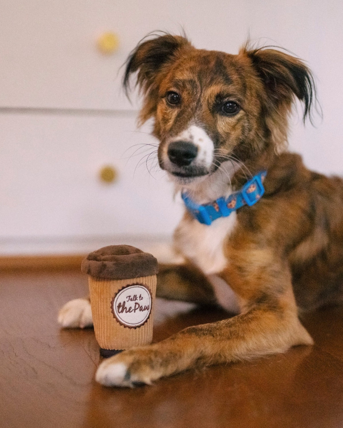 Çıkarılabilen Kapaklı Kahve Bardağı Figürlü Hışırtılı Sesli Kahverengi Peluş Köpek Oyuncağı P.L.A.Y. Pup Cup Cafe Doggo’s Java