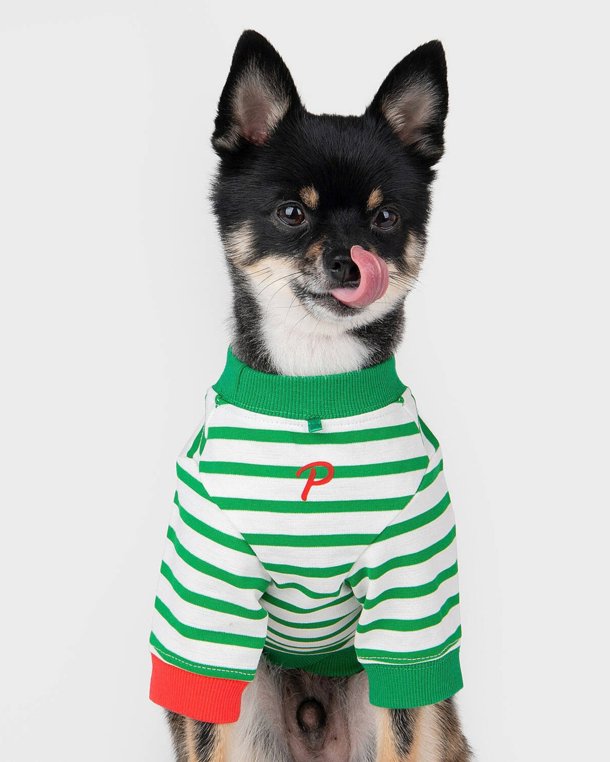 Çizgili Esnek Yeşil Köpek Tişörtü Puppia Mate