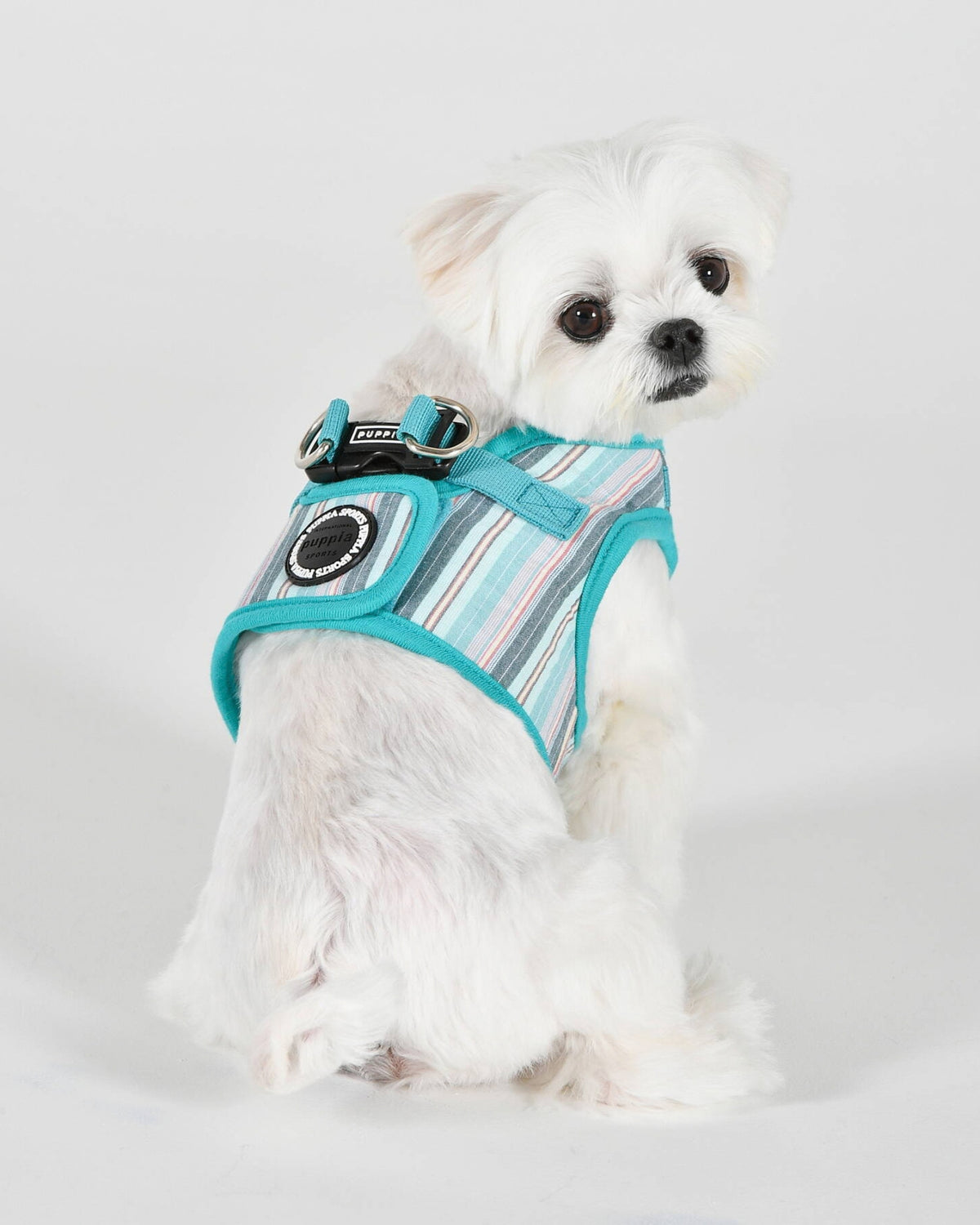 Çizgili Pamuklu Yelek Tipi Köpek Göğüs Tasması Puppia Theros Harness B