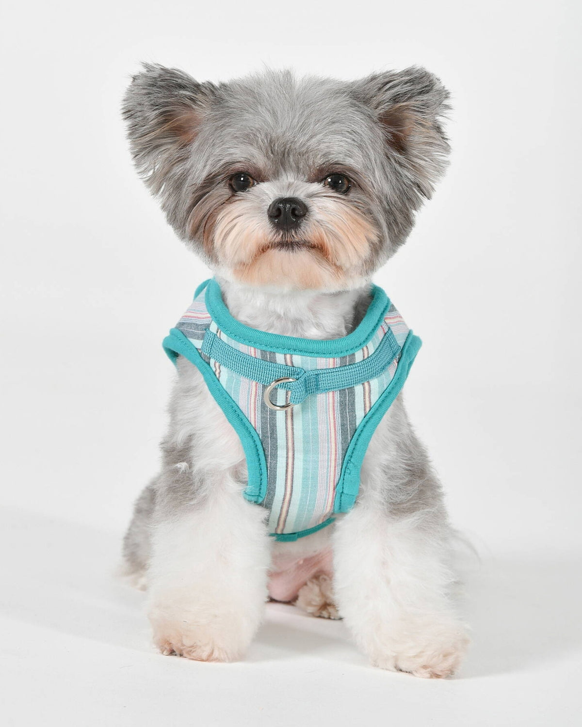 Çizgili Pamuklu Yelek Tipi Köpek Göğüs Tasması Puppia Theros Harness B