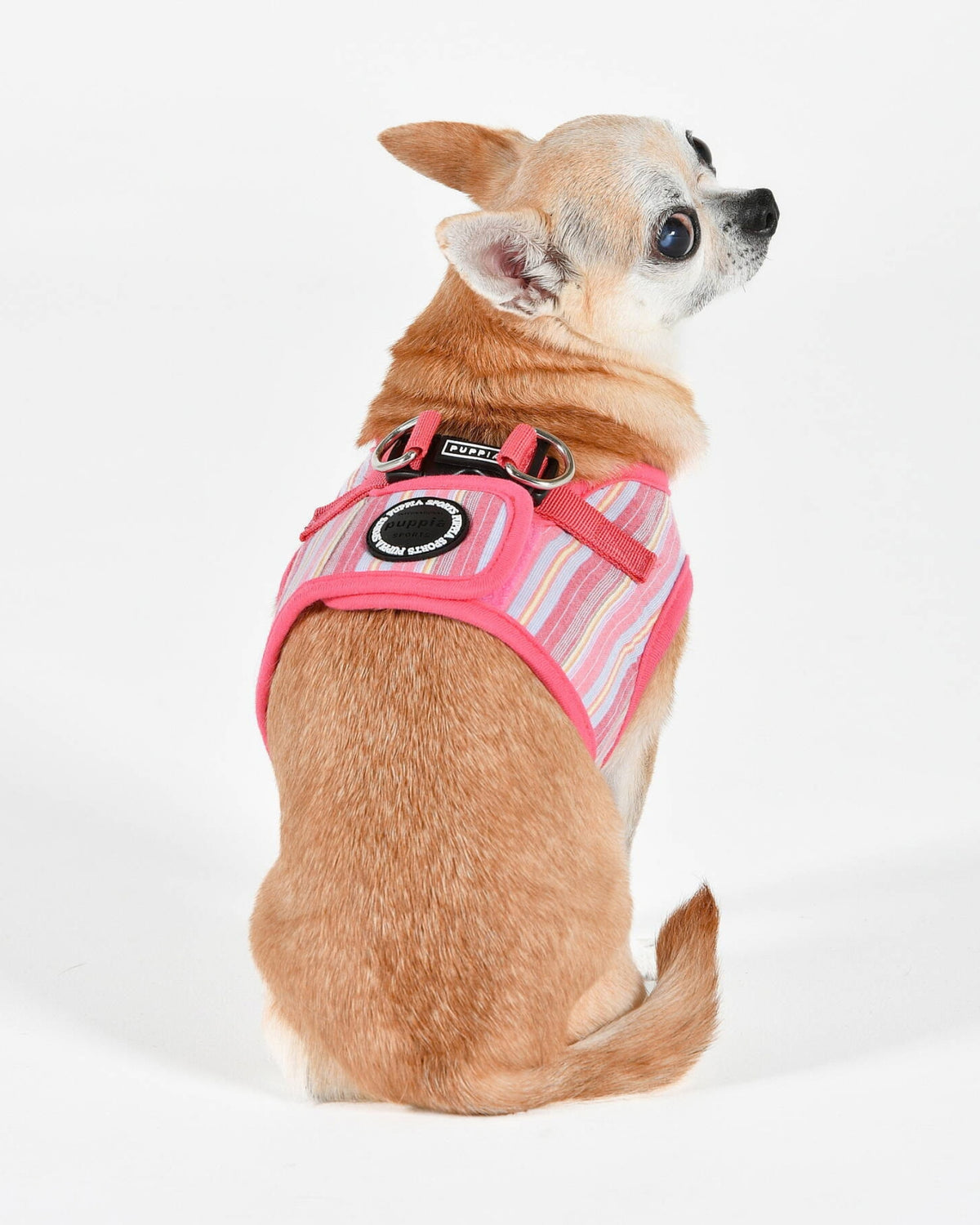 Çizgili Pamuklu Yelek Tipi Köpek Göğüs Tasması Puppia Theros Harness B