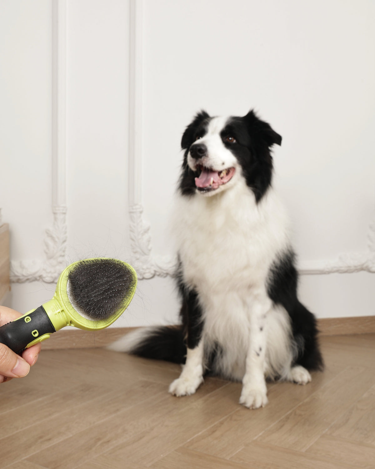Click & Groom Değiştirilebilir Başlıklı Slicker Fırça Kedi ve Köpek M-Pets Click and Groom Slicker Brush