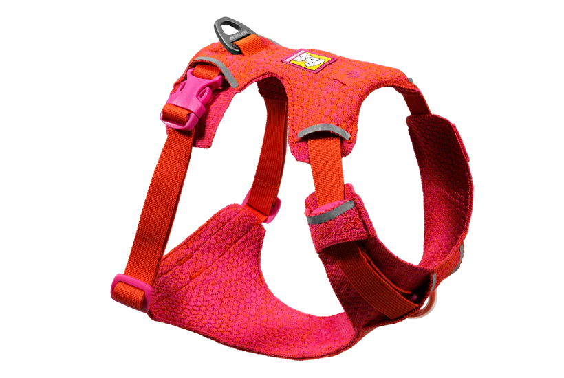 Front Range® Flex Harness