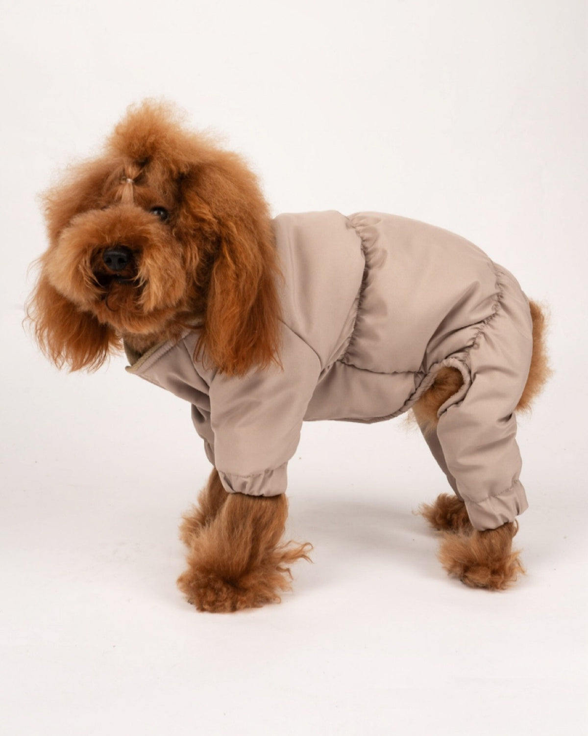 Peluş Yakalı Bej Köpek Yağmurluk Tulum Mont Doredog