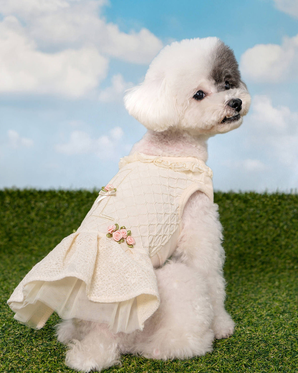 Dantel Yakalı Güllü Krem Rengi Köpek Elbisesi Pinkaholic Majesty Dress