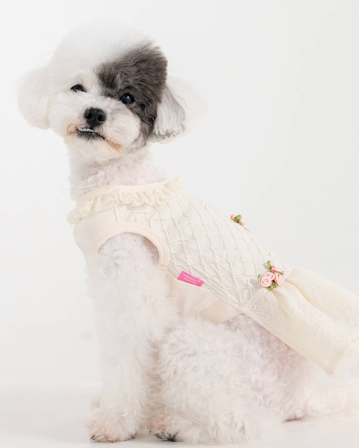 Dantel Yakalı Güllü Krem Rengi Köpek Elbisesi Pinkaholic Majesty Dress