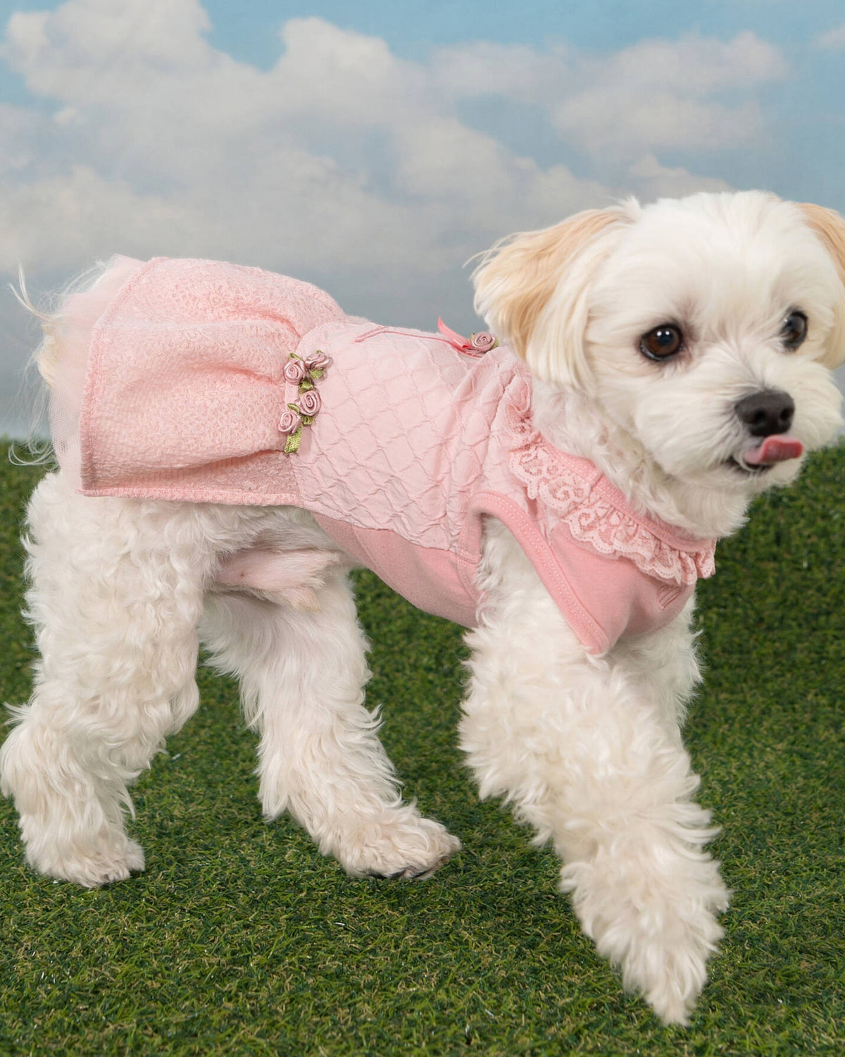 Dantel Yakalı Güllü Pembe Köpek Elbisesi Pinkaholic Majesty Dress