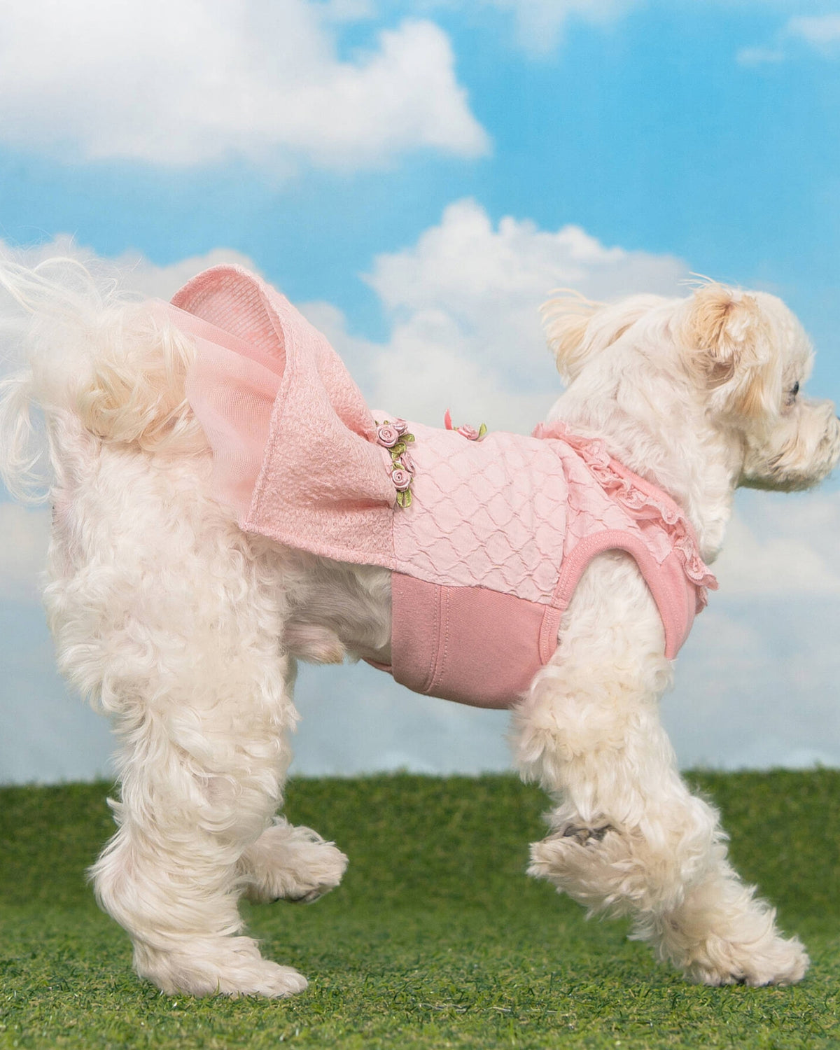 Dantel Yakalı Güllü Pembe Köpek Elbisesi Pinkaholic Majesty Dress