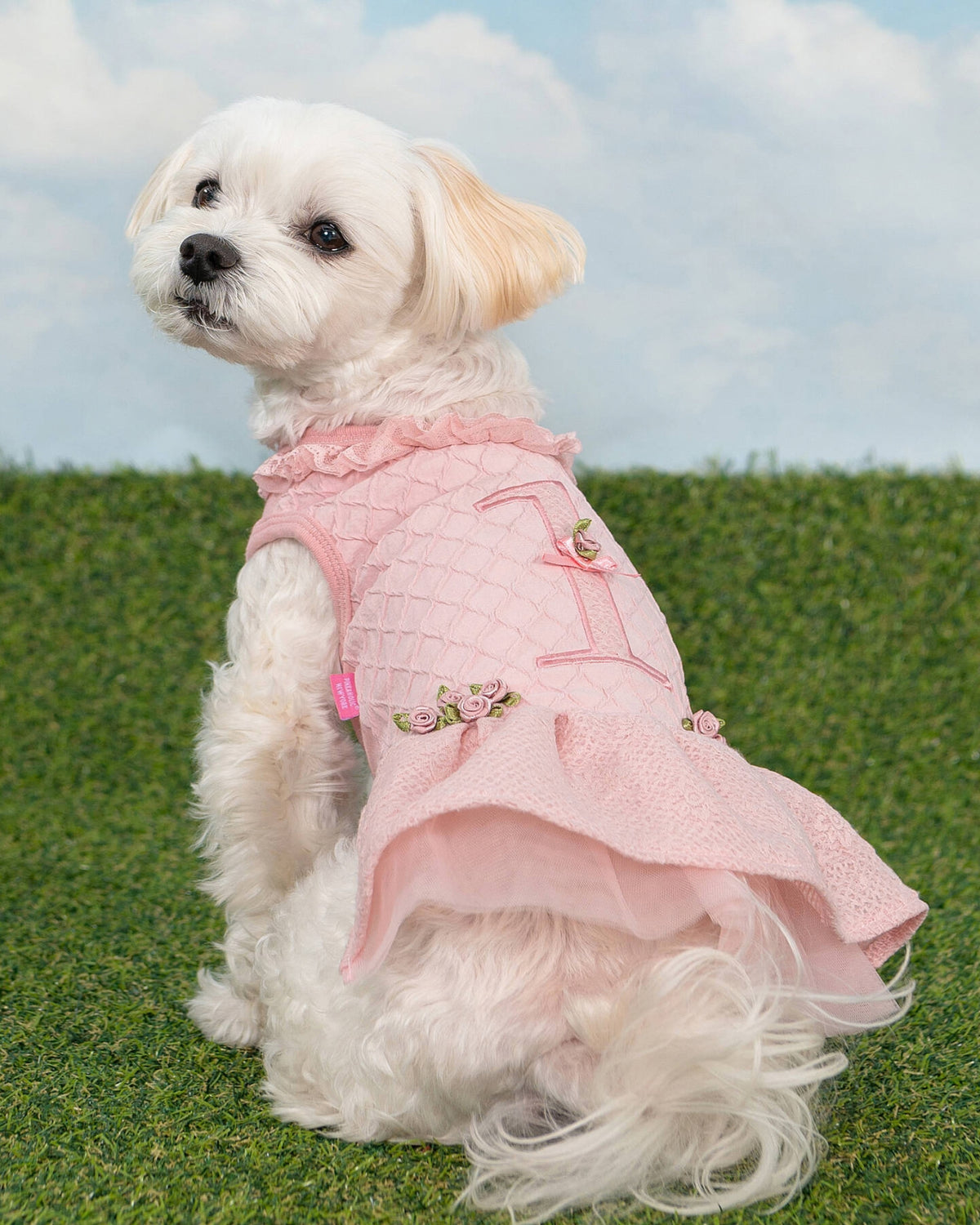 Dantel Yakalı Güllü Pembe Köpek Elbisesi Pinkaholic Majesty Dress