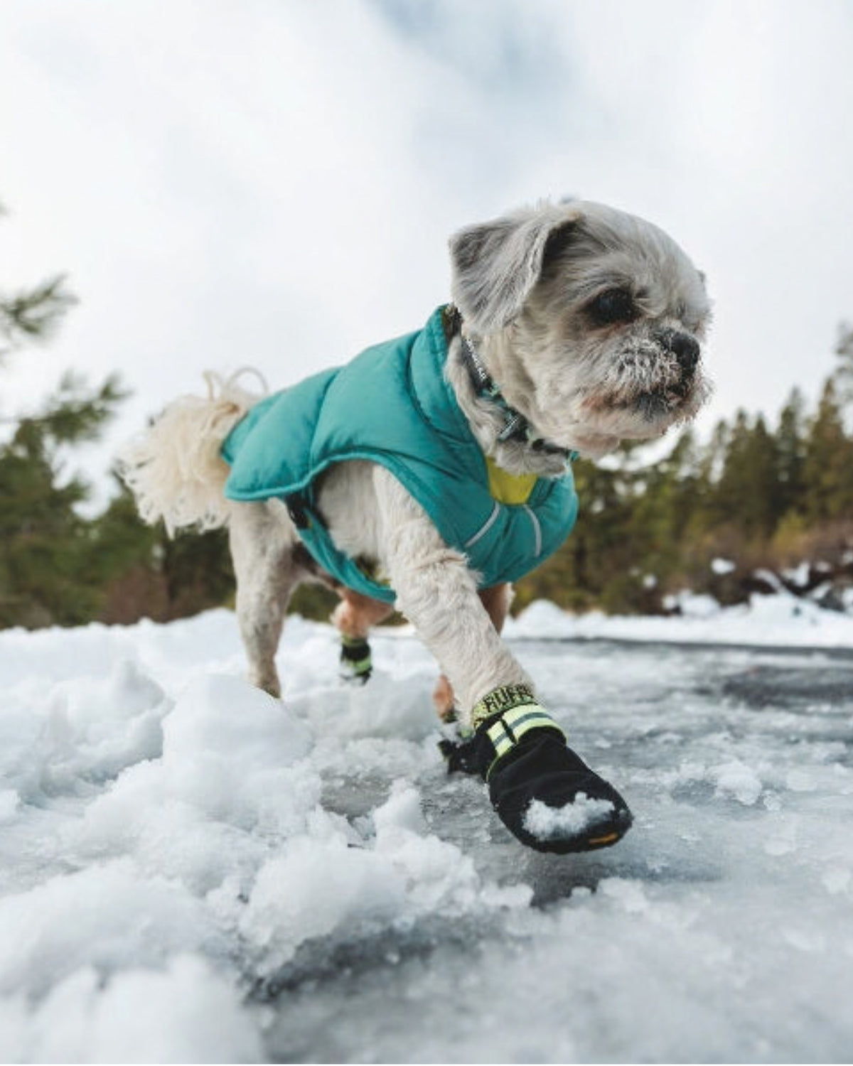 Dolgulu Köpek Yeleği Ruffwear Quinzee