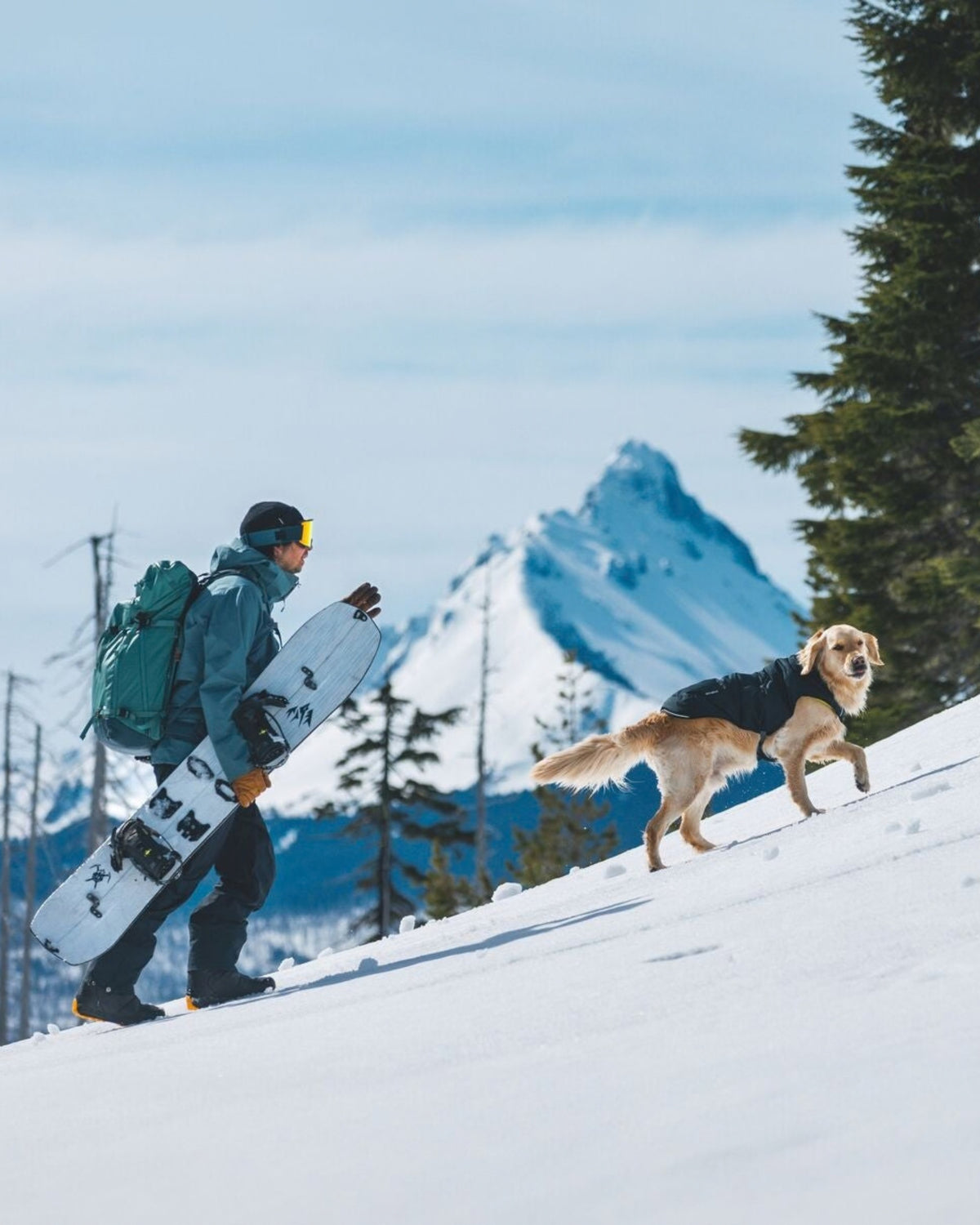 Dolgulu Köpek Yeleği Ruffwear Quinzee