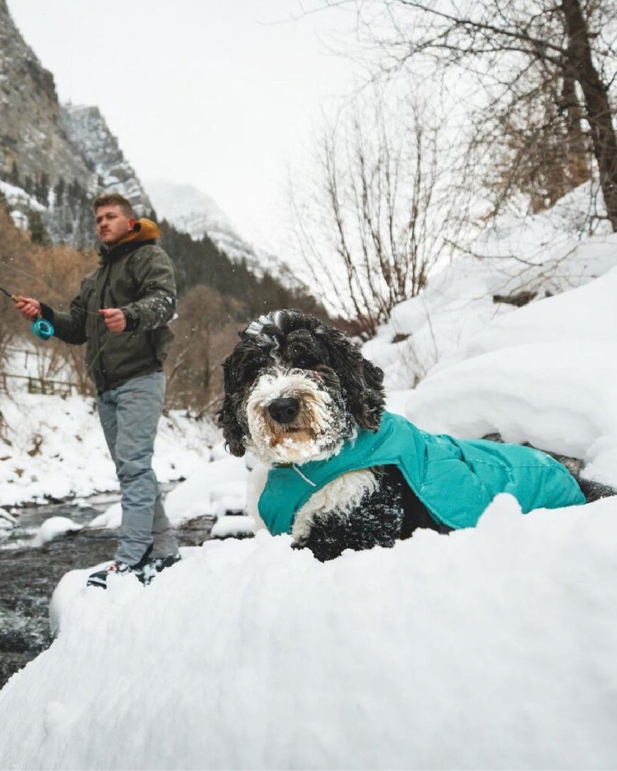 Dolgulu Köpek Yeleği Ruffwear Quinzee