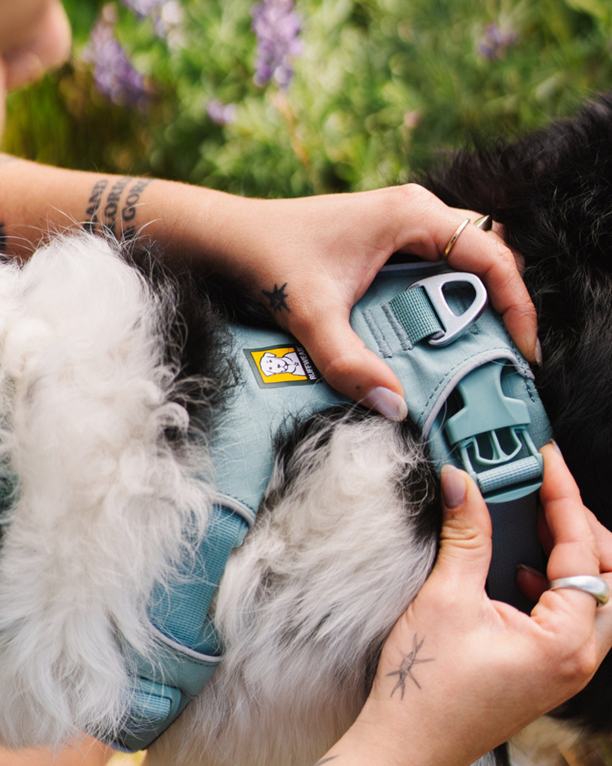 Dolgulu Günlük Köpek Göğüs Tasması Ruffwear Front Range Harness