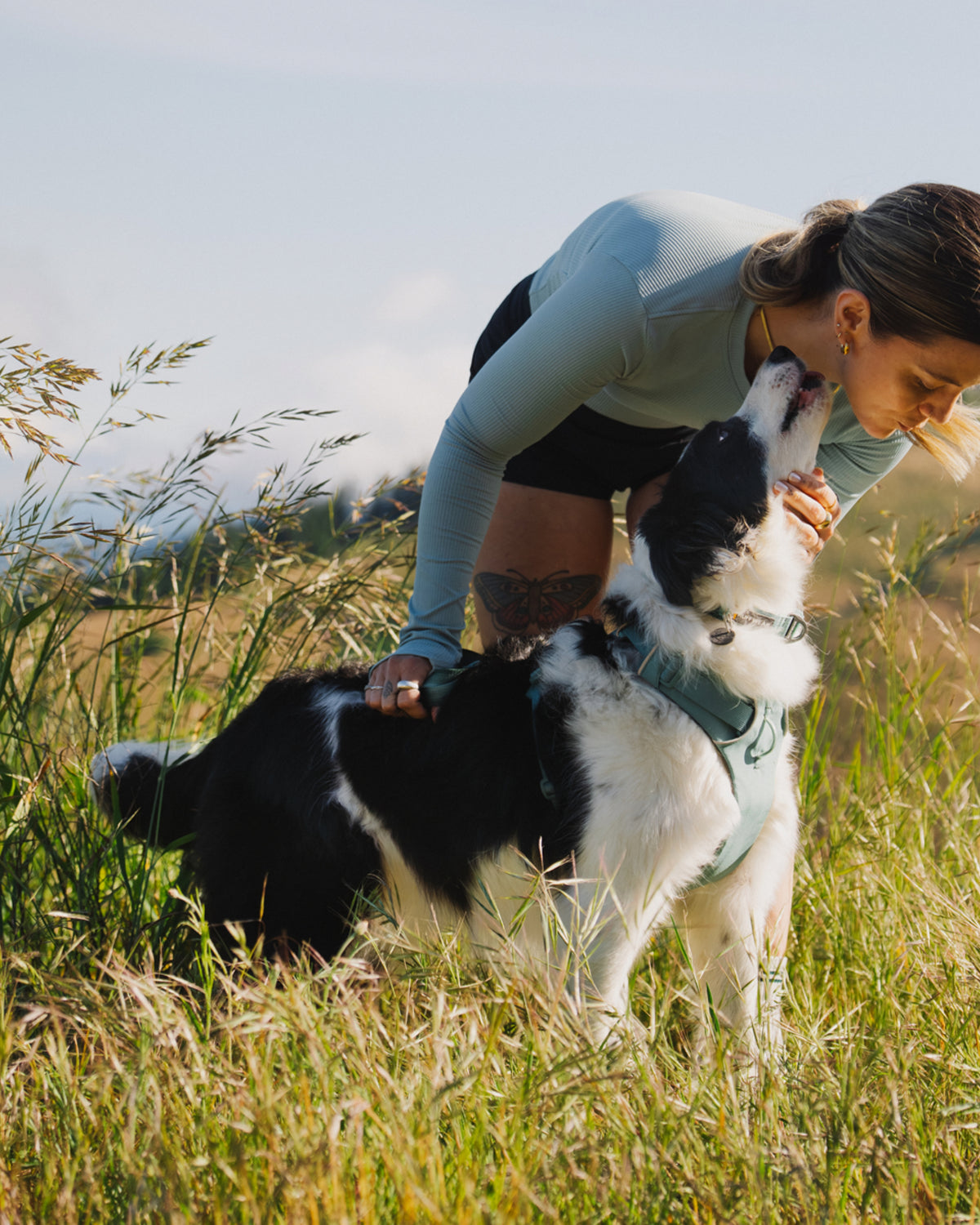 Dolgulu Günlük Köpek Göğüs Tasması Ruffwear Front Range Harness