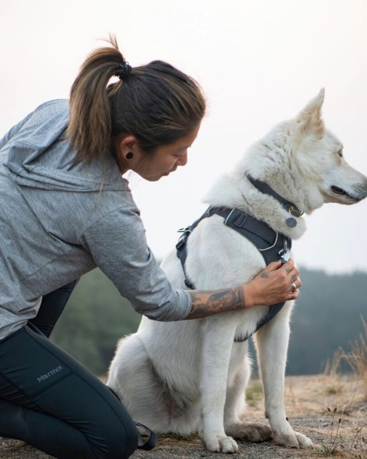 Dolgulu Günlük Köpek Göğüs Tasması Ruffwear Front Range Harness