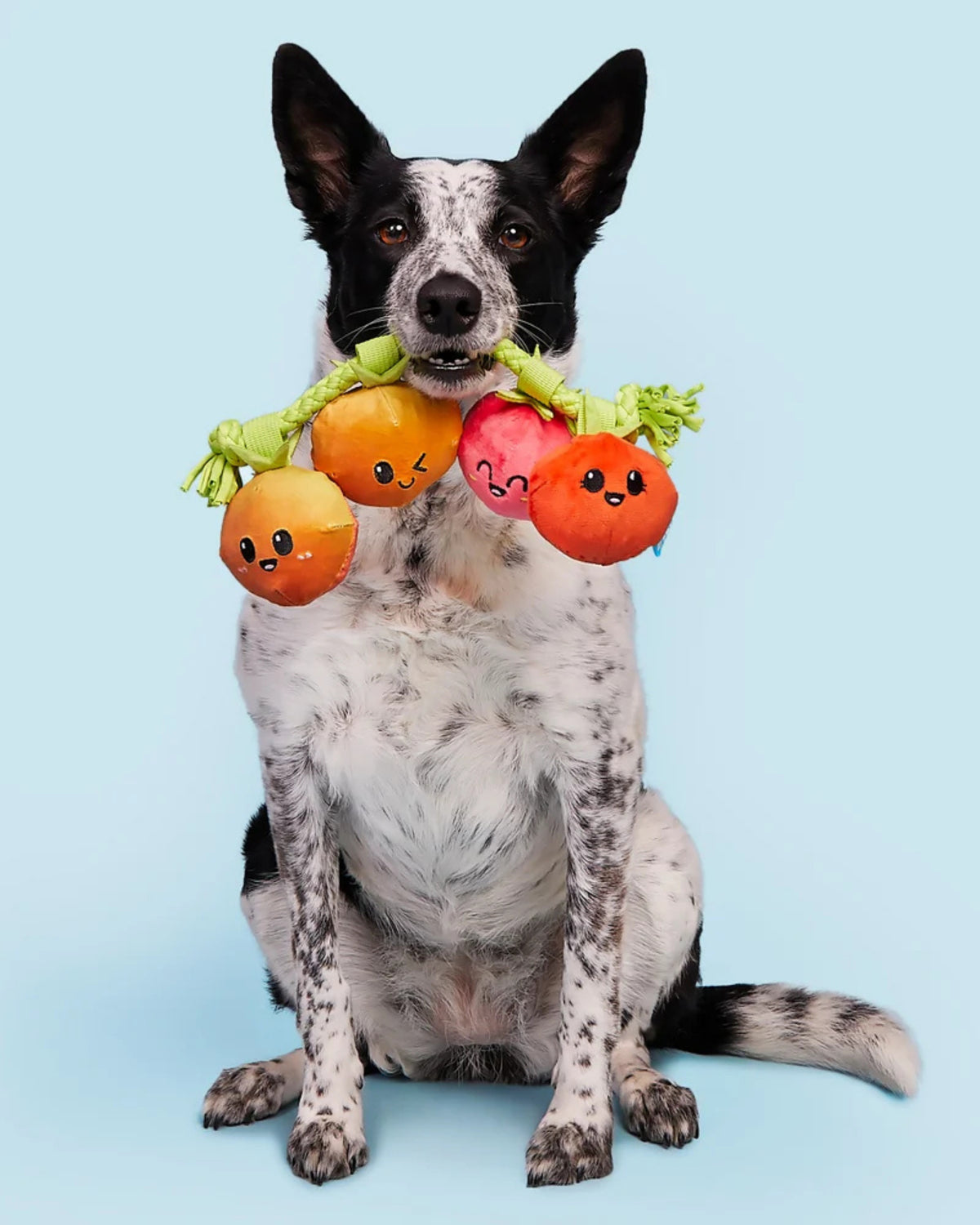 Domates Salkımı Figürlü İpli Peluş Köpek Oyuncağı BARK Hairloom Tomatoes