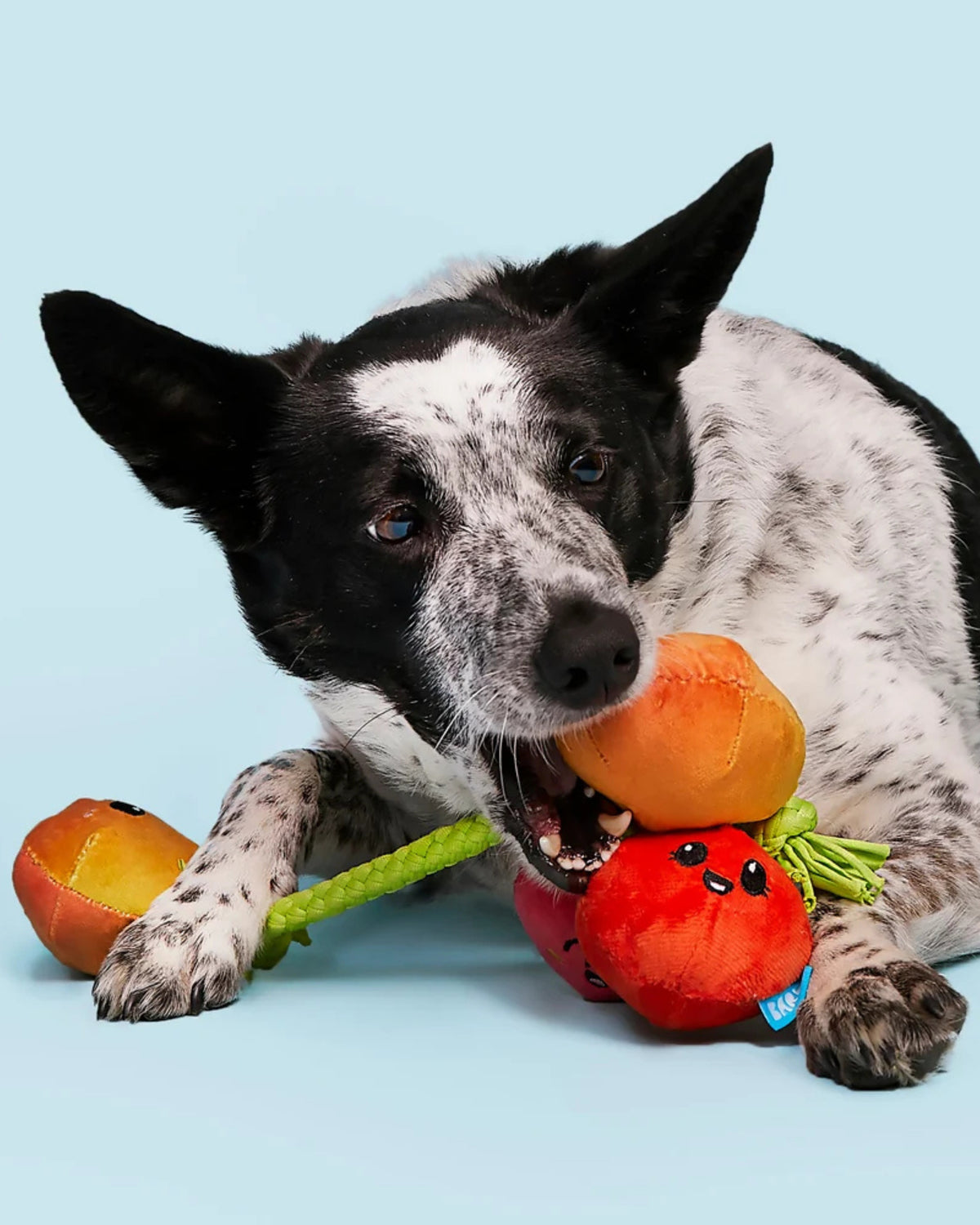 Domates Salkımı Figürlü İpli Peluş Köpek Oyuncağı BARK Hairloom Tomatoes