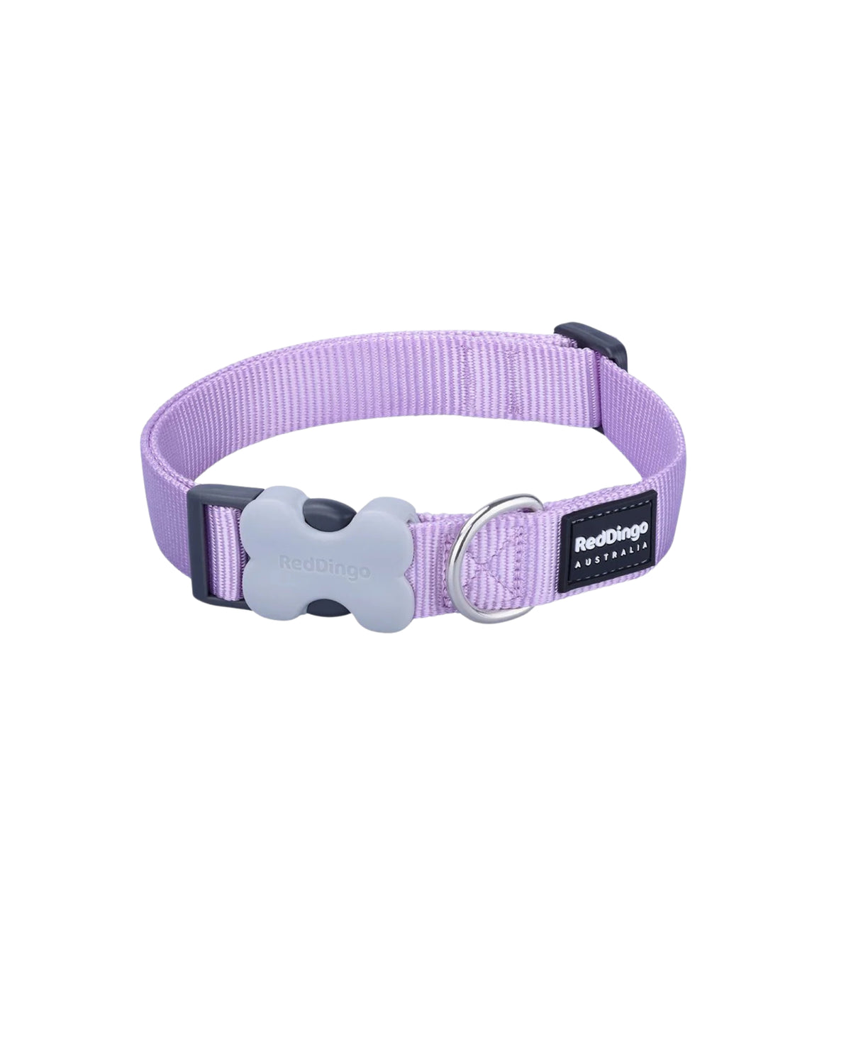 Düz Renk Köpek Boyun Tasması Red Dingo Classic Collar