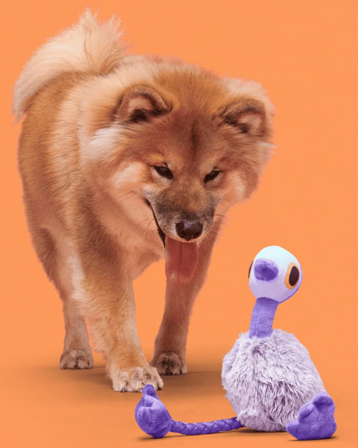 Emu Figürlü İpli Peluş Köpek Oyuncağı BARK Adelaide Emu