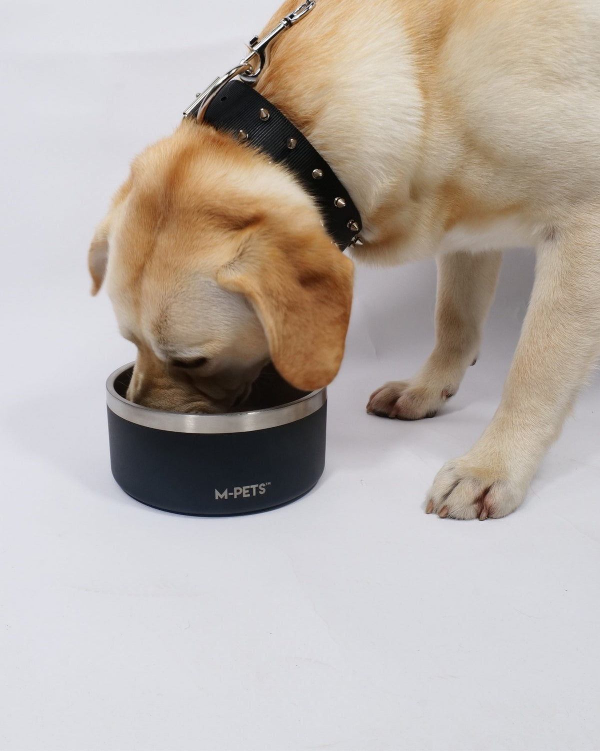 Eskimo Çift Cidarlı Paslanmaz Çelik Mama ve Su Kabı Siyah M-Pets ESKIMO Double Wall Bowl Black
