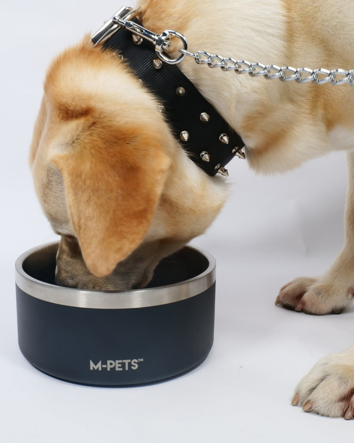 Eskimo Çift Cidarlı Paslanmaz Çelik Mama ve Su Kabı Siyah M-Pets ESKIMO Double Wall Bowl Black