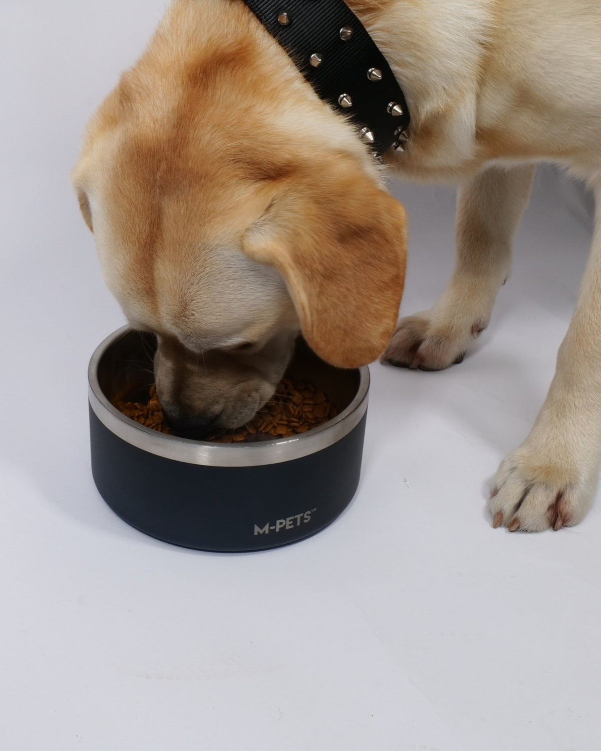 Eskimo Çift Cidarlı Paslanmaz Çelik Mama ve Su Kabı Siyah M-Pets ESKIMO Double Wall Bowl Black
