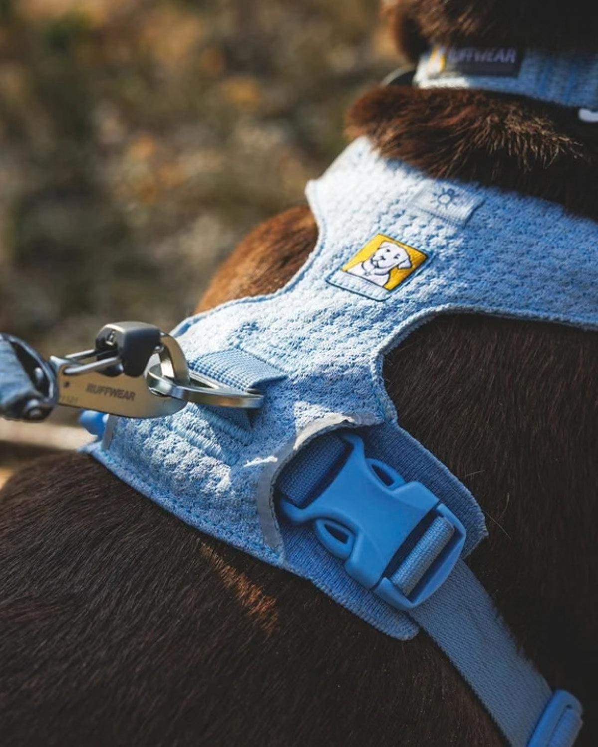 Esnek Örgü Köpek Göğüs Tasması Ruffwear Front Range Flex Harness