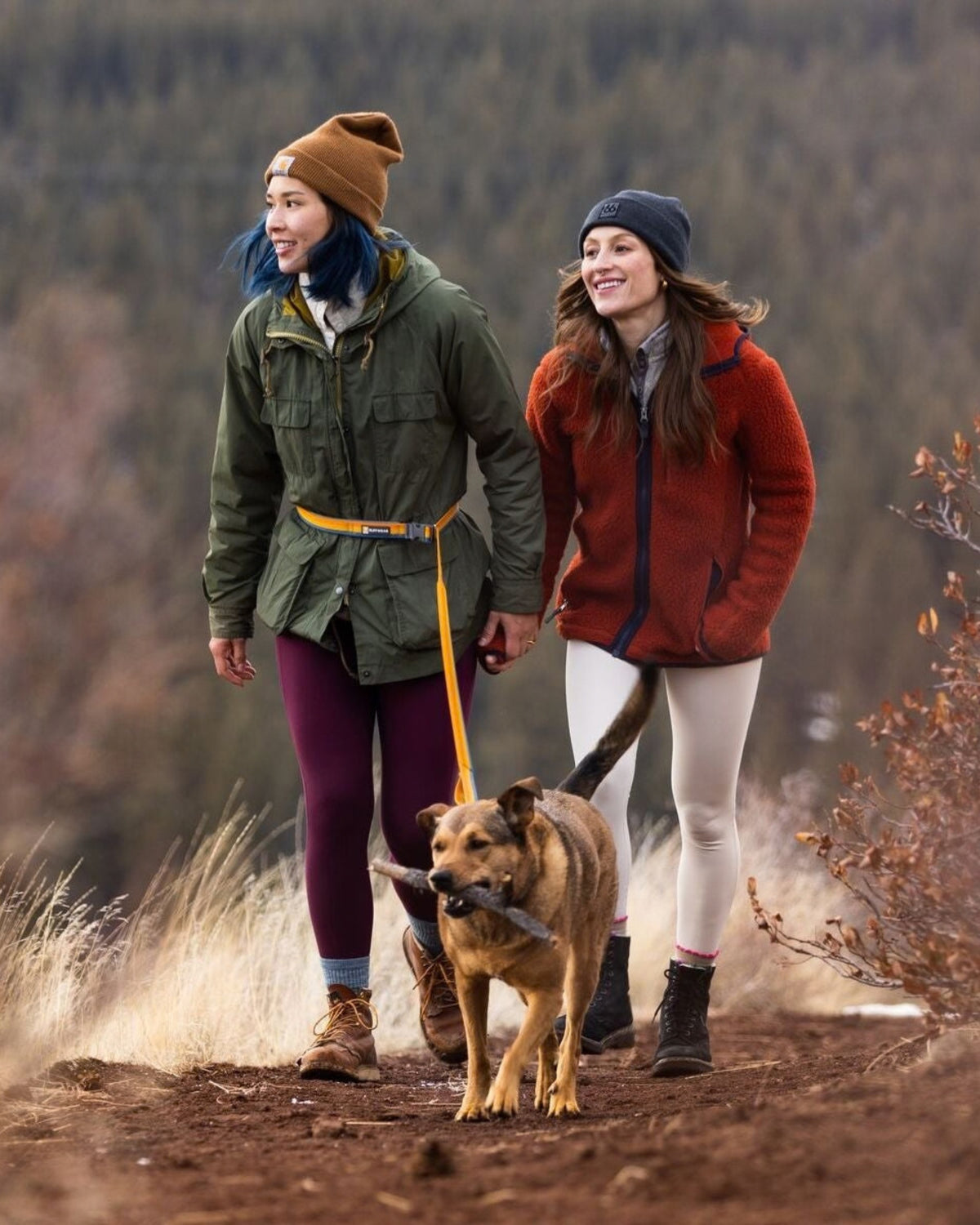 Esnek Köpek Gezdirme Tasması Ruffwear Roamer