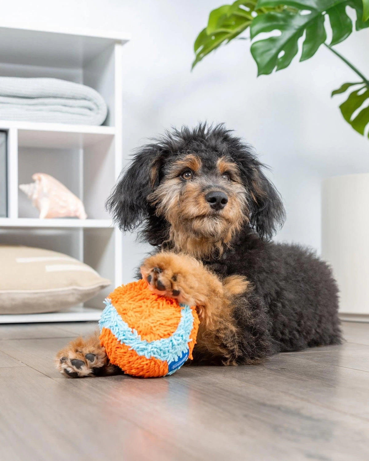 Ev İçi Yumuşak Köpek Oyun Topu Chuckit Indoor Ball
