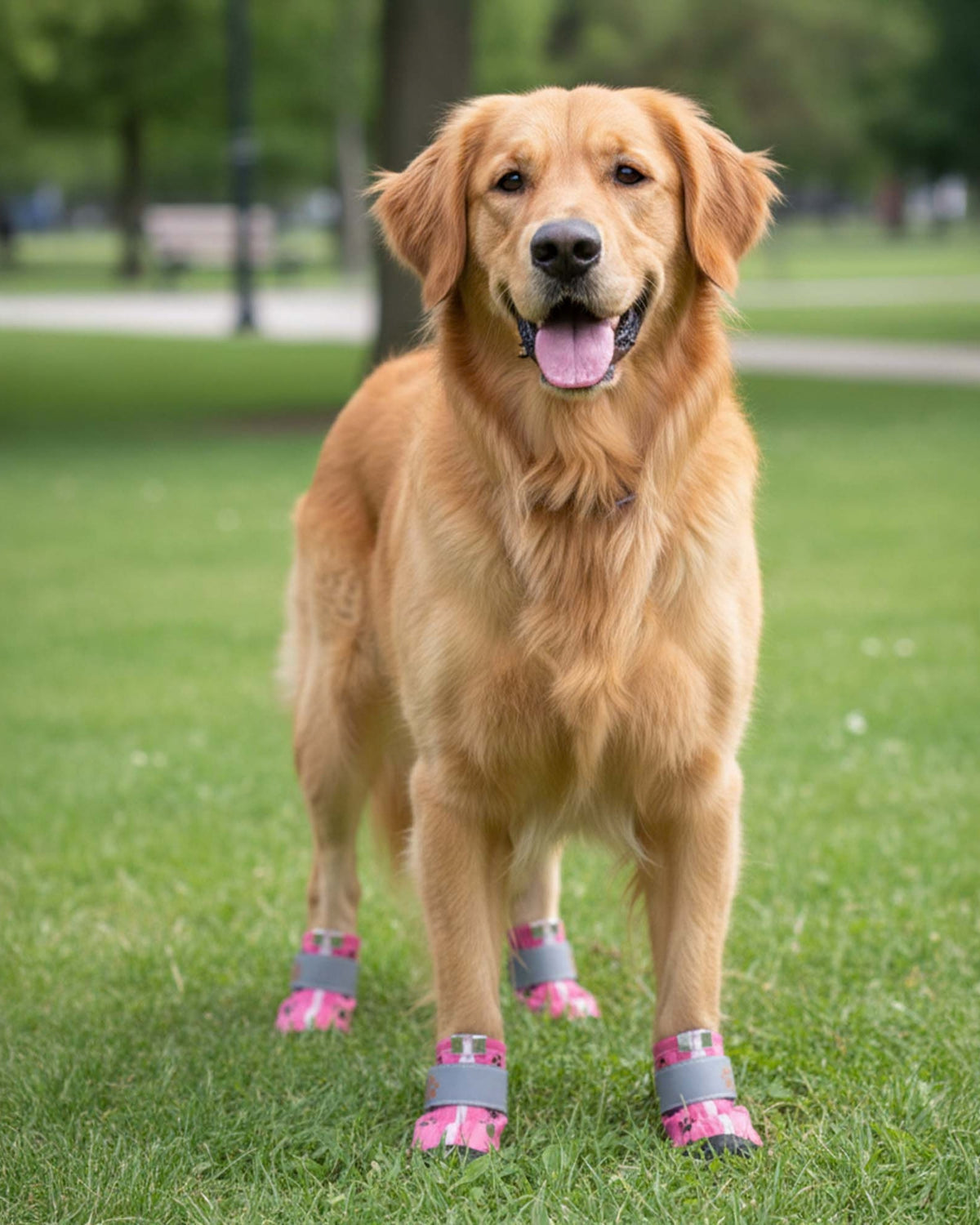 Fermuarlı Su Geçirmez Pembe Deri Köpek Botu Paw Prints Leather Dog Boots