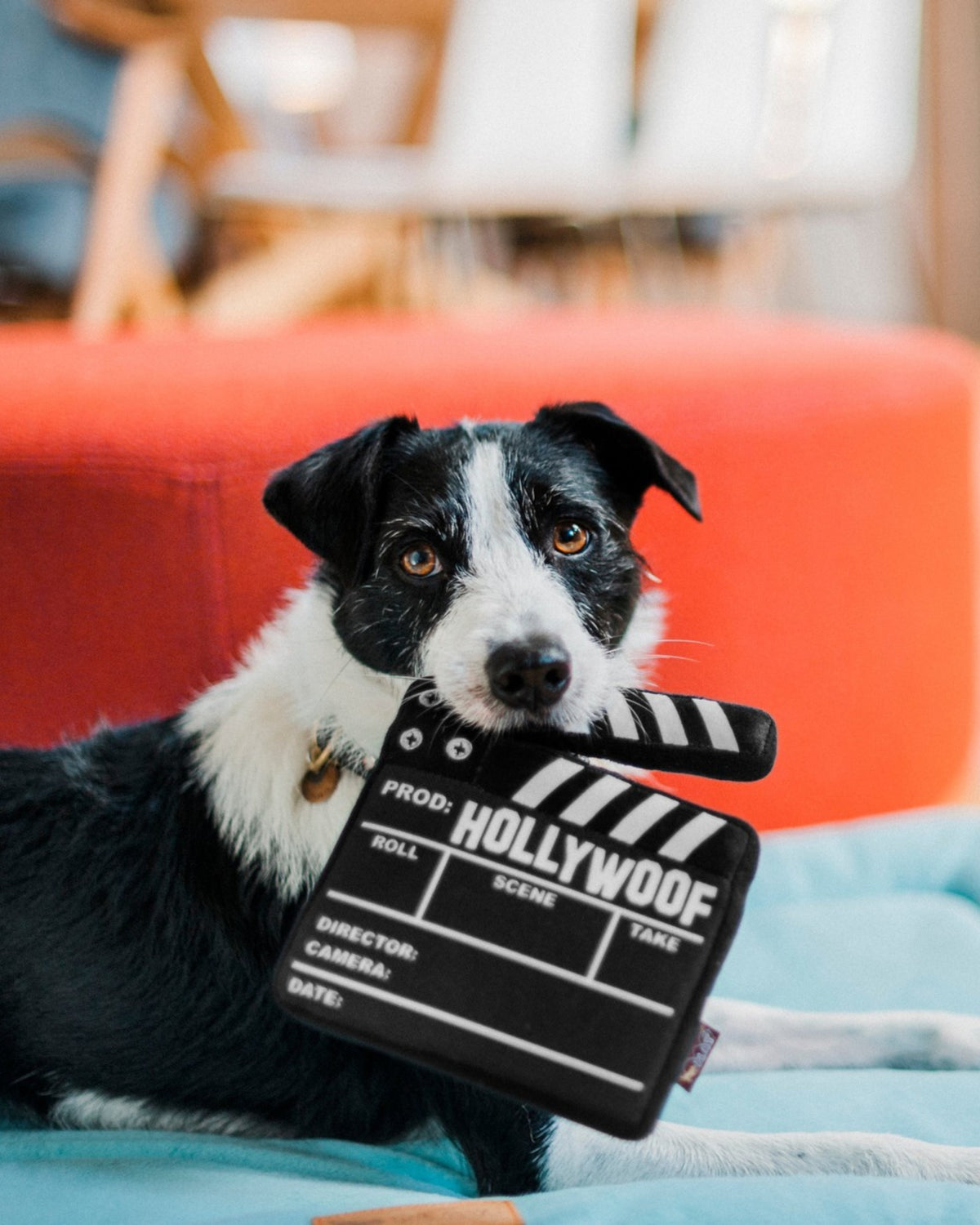 Film Klaketi Figürlü Gizli İpli Büyük Ötücülü Siyah Peluş Köpek Oyuncağı P.L.A.Y. Hollywoof Cinema Doggy Director Board