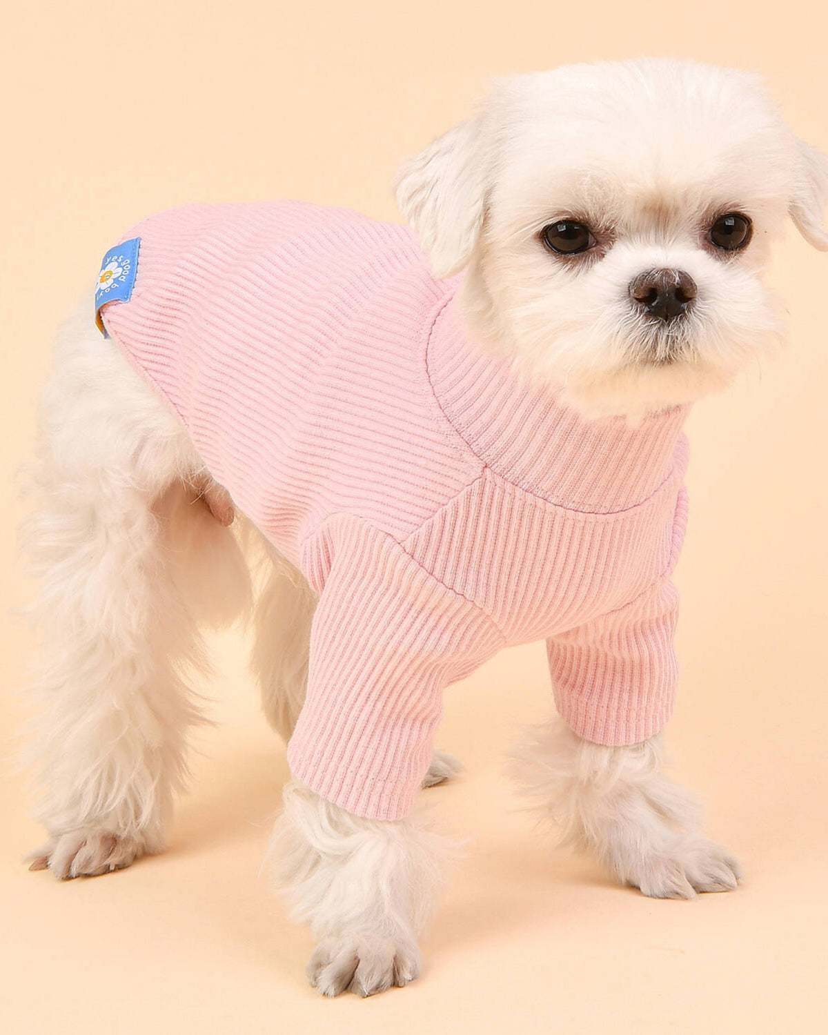 Fitilli Balıkçı Yaka Kısa Kollu Pembe Köpek Tişörtü Olchi Wave Turtleneck