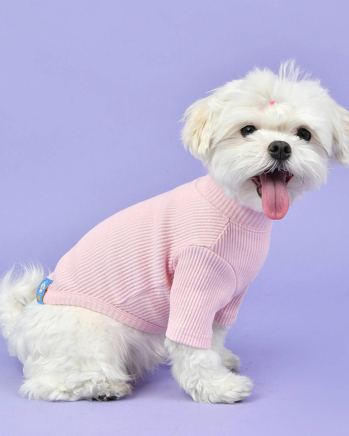 Fitilli Balıkçı Yaka Kısa Kollu Pembe Köpek Tişörtü Olchi Wave Turtleneck