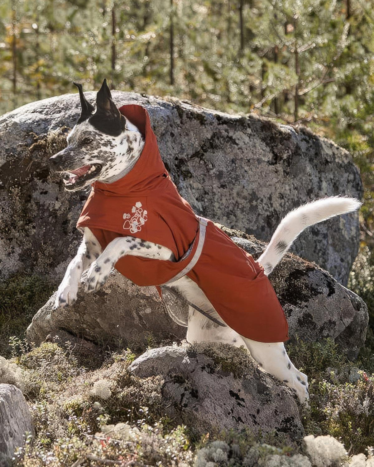 Folyo Astarlı Kapüşonlu Su ve Rüzgar Geçirmez Isıtıcı Köpek Kış Montu Hurtta Extreme Warmer II ECO