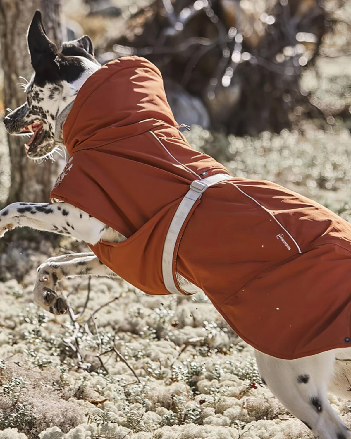 Folyo Astarlı Kapüşonlu Su ve Rüzgar Geçirmez Isıtıcı Köpek Kış Montu Hurtta Extreme Warmer II ECO