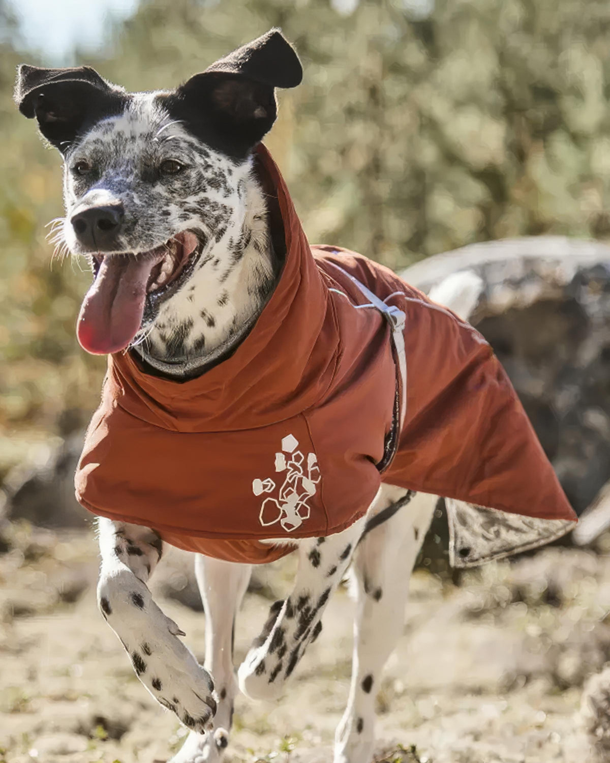 Folyo Astarlı Kapüşonlu Su ve Rüzgar Geçirmez Isıtıcı Köpek Kış Montu Hurtta Extreme Warmer II ECO