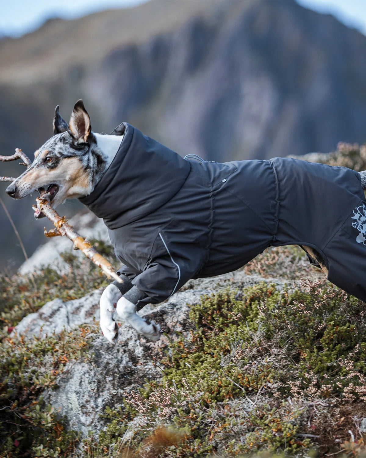 Folyo Astarlı Kapüşonlu Su ve Rüzgar Geçirmez Isıtıcı Köpek Kış Tulumu Hurtta Extreme Overall